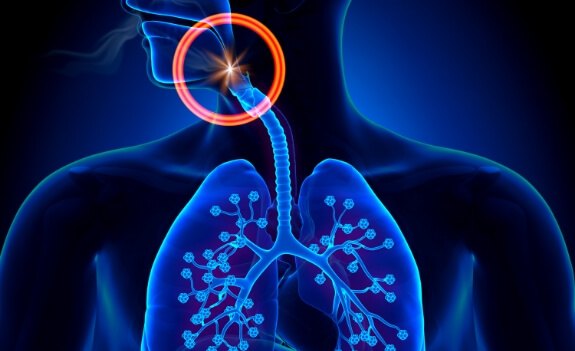 Illustrated model of upper body with airway circled in orange